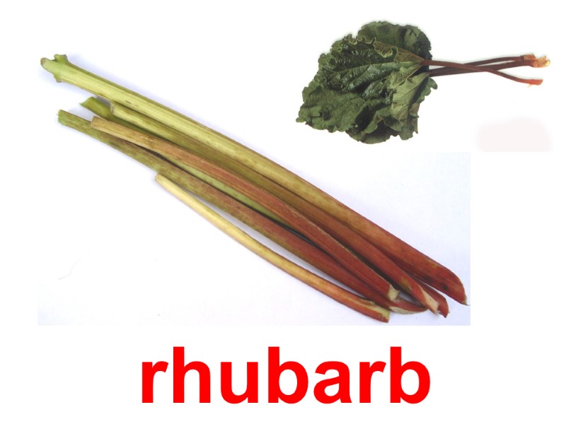 rhubarb